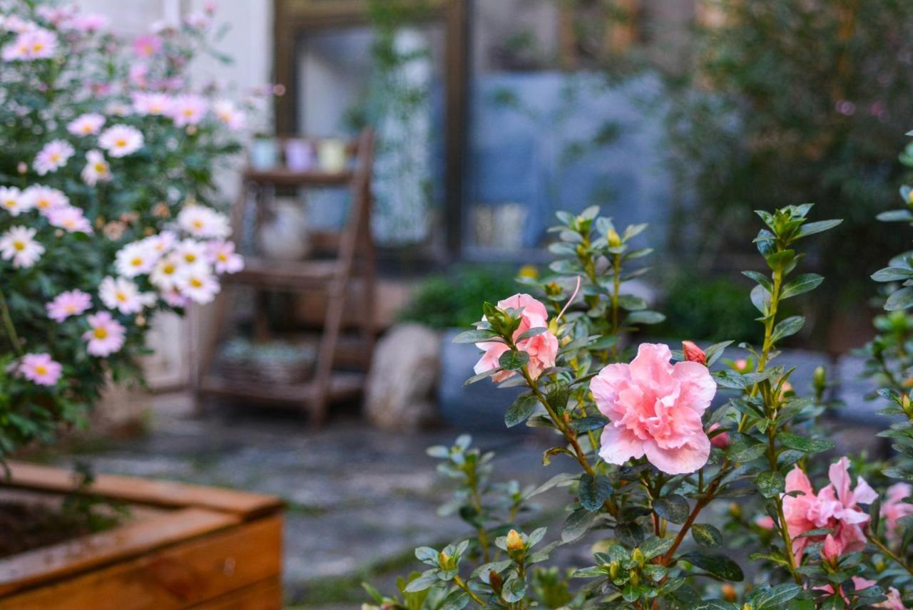 Dali Buxianshan Boutique Guesthouse-In Dali Ancient City,Near Three Pag Odas And Erhai Lake,Provide Tour Guide Service And Local Experience Exterior foto